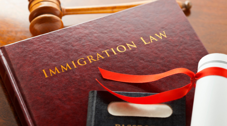 The Vital Role of Immigrants in Enhancing Workplace Diversity