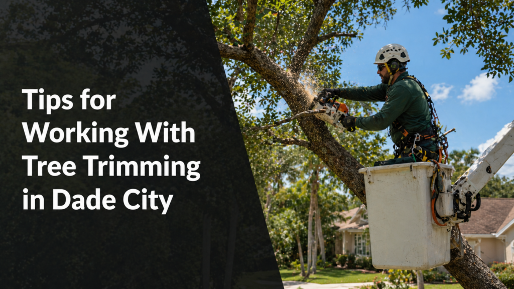 Tree trimming tips in Dade City