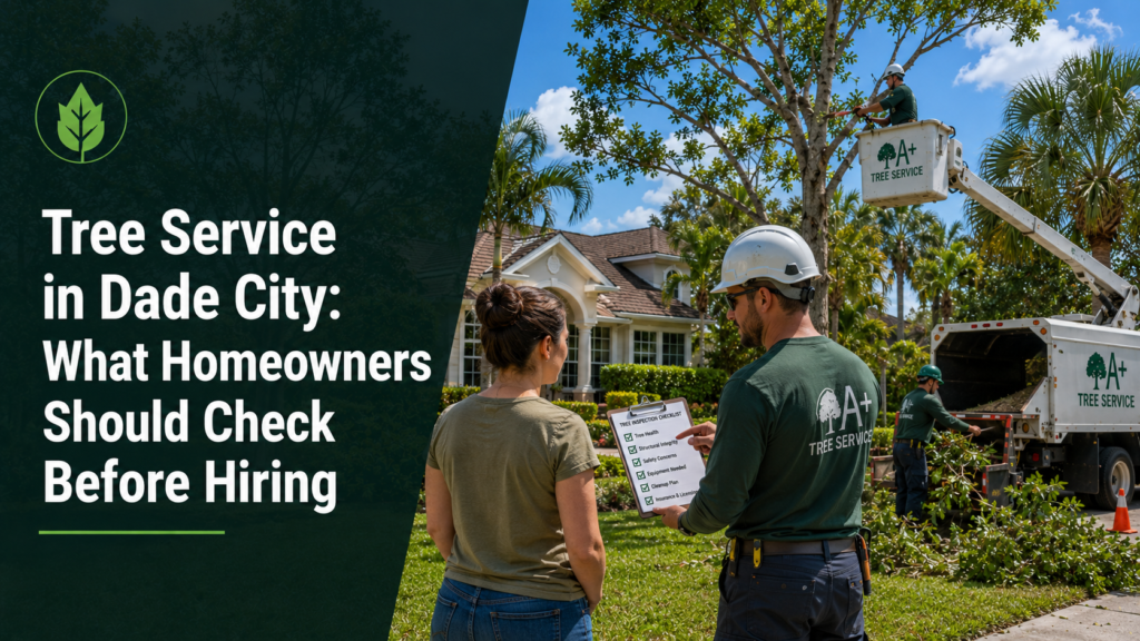 Tree service inspection in Dade City